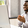 Webinar Training